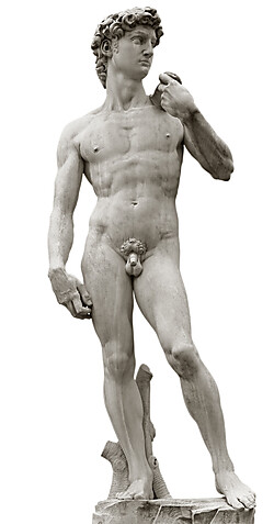 Socha nahého Davida vytvořená Michelangelem